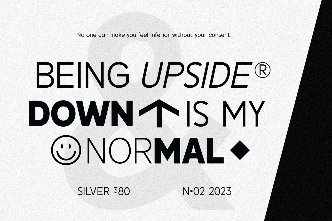 图片[2]-Salmond-字体-光子波动网 | 专业WordPress修复服务，全球范围，快速响应