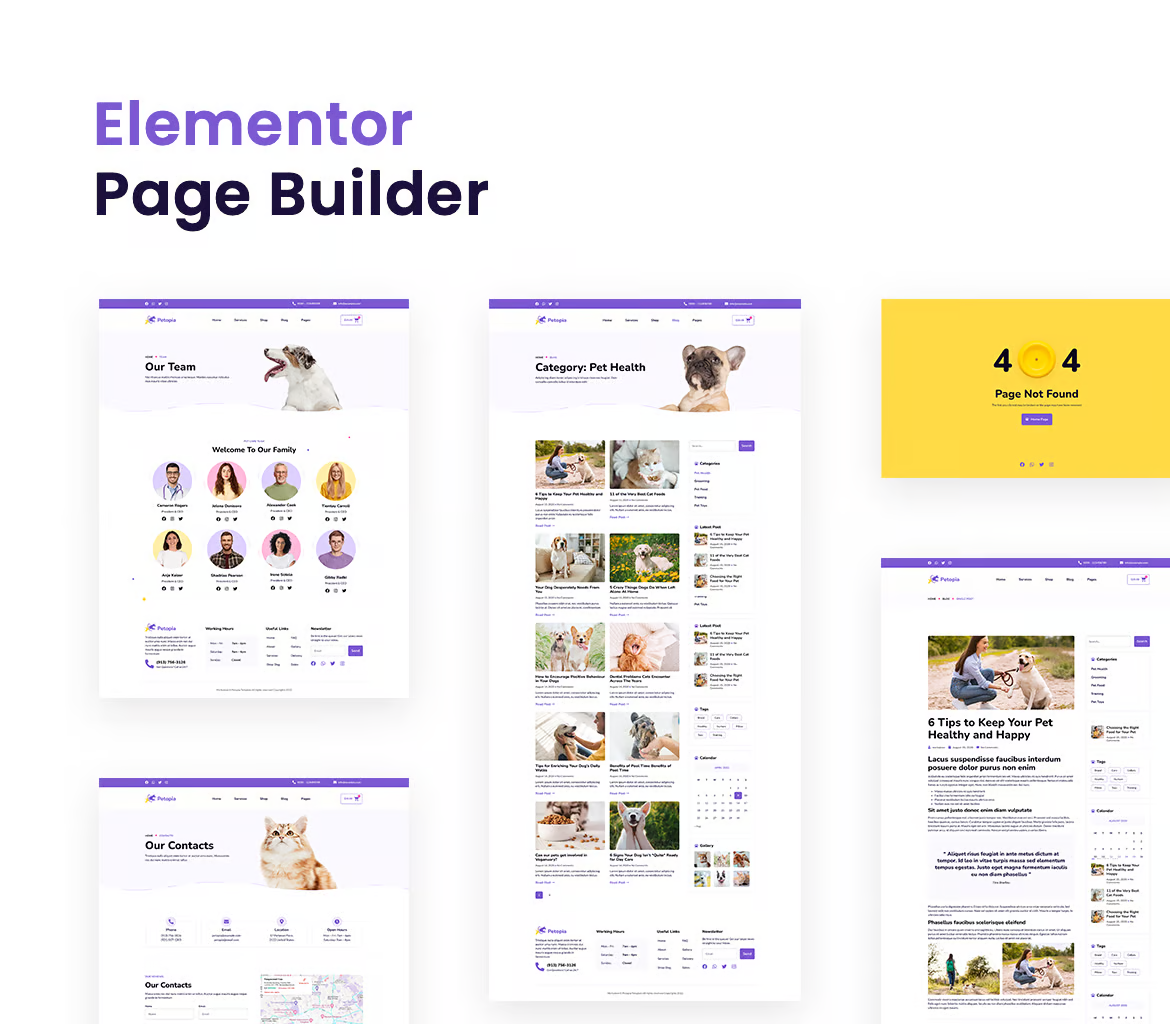 图片[1]-Petopia – 宠物护理服务 Elementor 模板套件-光子波动网 | 专业WordPress修复服务，全球范围，快速响应