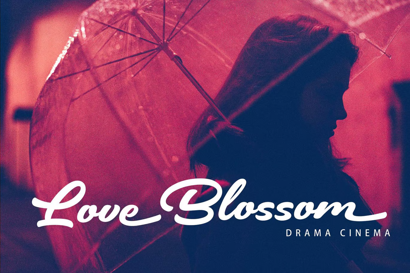 图片[2]-Brickell – 现代书法字体-光子波动网 | 专业WordPress修复服务，全球范围，快速响应