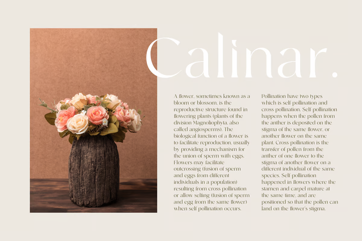 图片[2]-Runalto – Luxury Serif 字体-光子波动网 | 专业WordPress修复服务，全球范围，快速响应