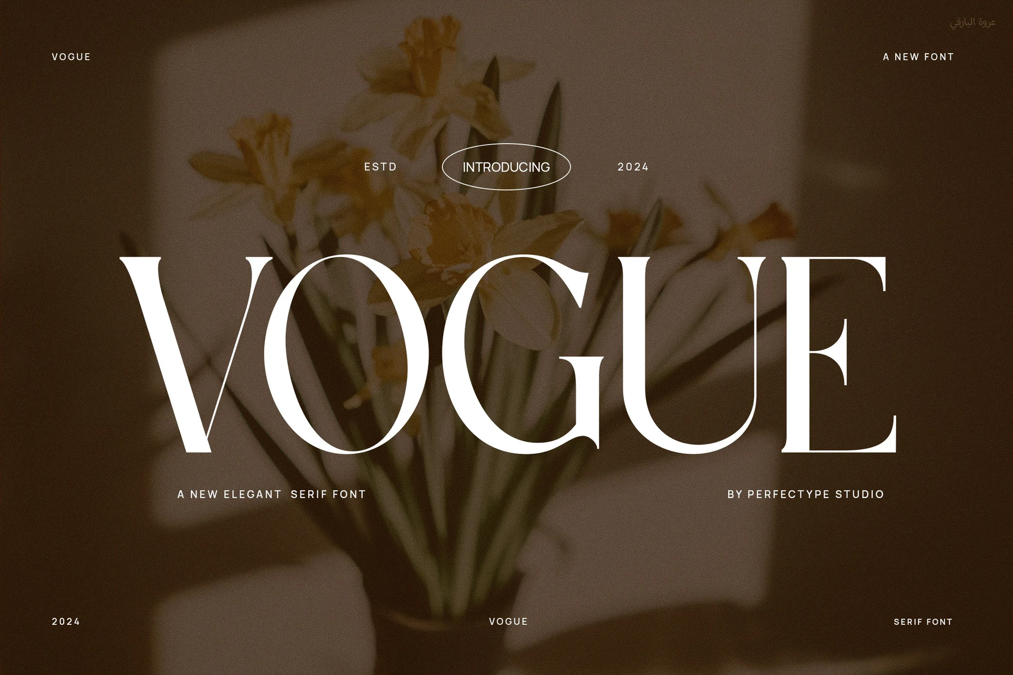 Vogue Elegant Serif 字体类型-光子波动网 | 专业WordPress修复服务,全球范围,快速响应