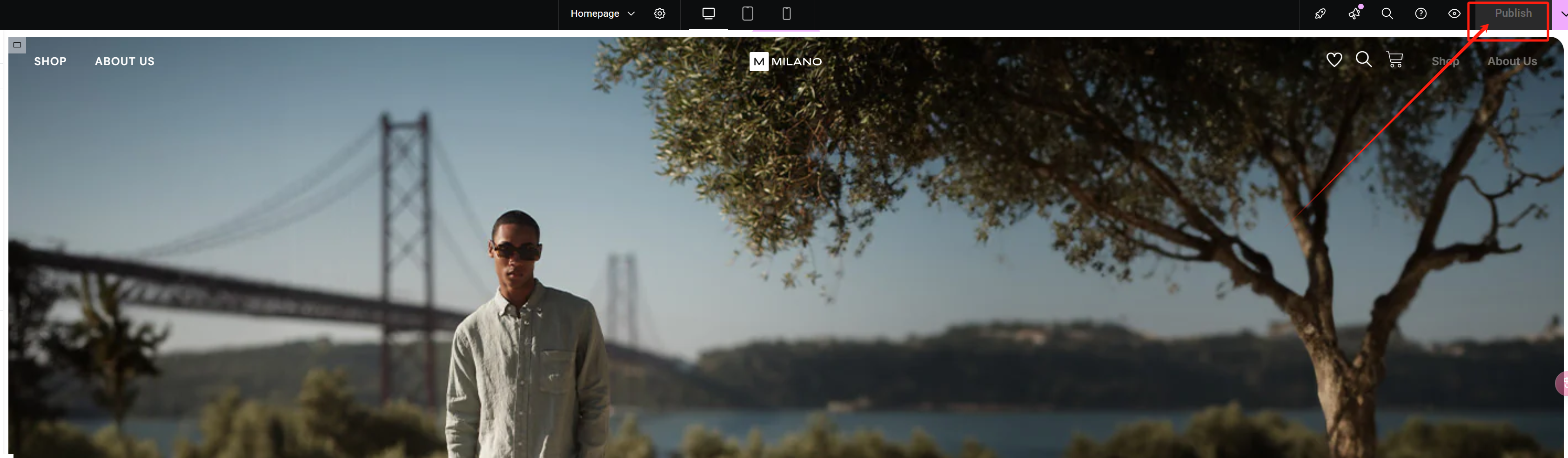 图片[19]-Milano 电子商务模板 – 现代简约，高端时尚体验-光子波动网 | 专业WordPress修复服务，全球范围，快速响应