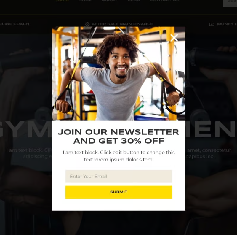 Image [1] - Badani - Fitness Equipment Store & WooCommerce Elementor Pro Template Kit - Photon Fluctuation Network | Professional WordPress Repair Service, Worldwide, Fast Response