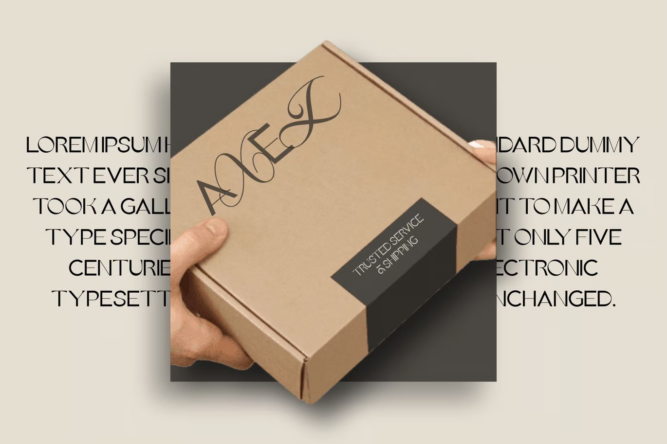 图片[2]-Bianca 字体-光子波动网 | 专业WordPress修复服务，全球范围，快速响应