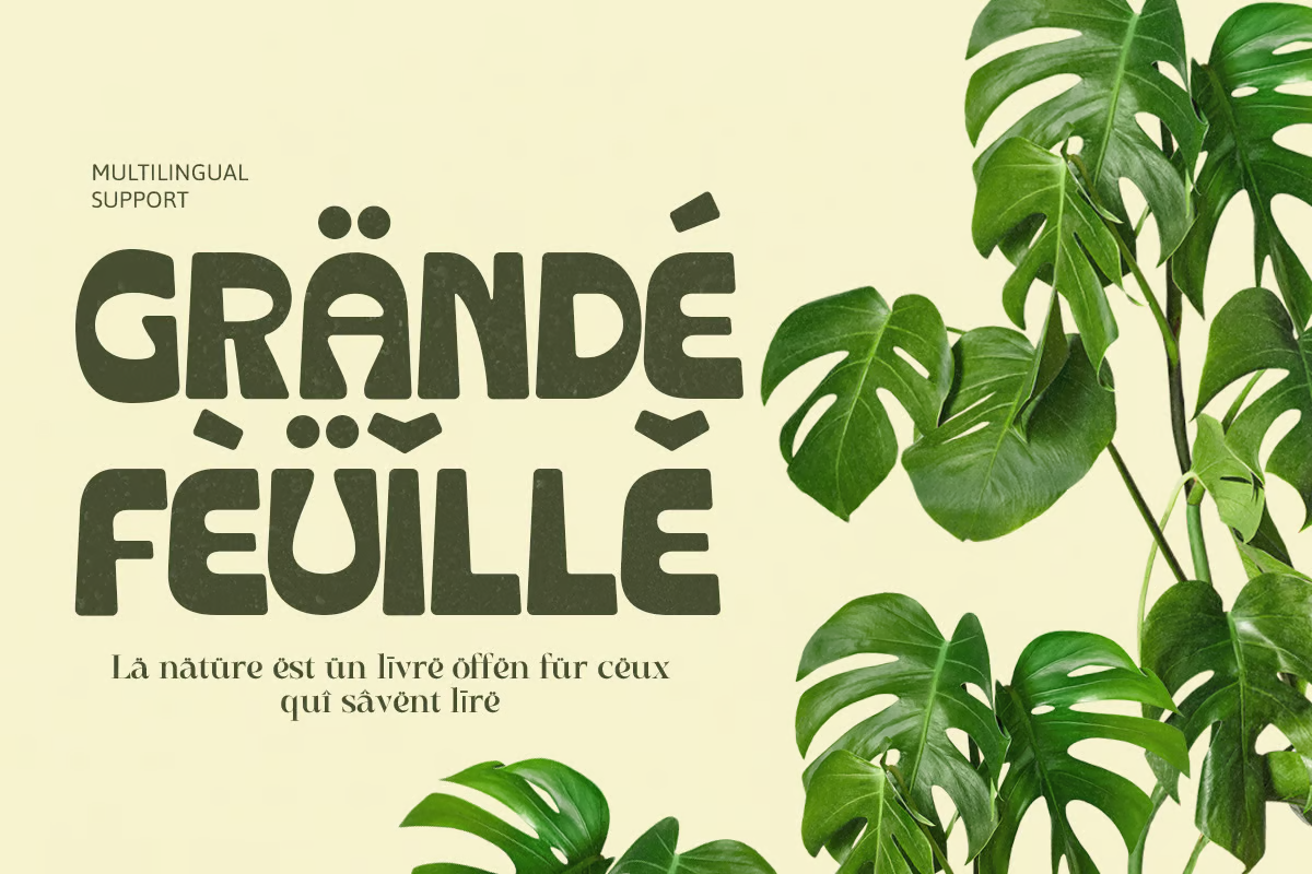 图片[2]-Crupies – 粗体反向对比字体-光子波动网 | 专业WordPress修复服务，全球范围，快速响应