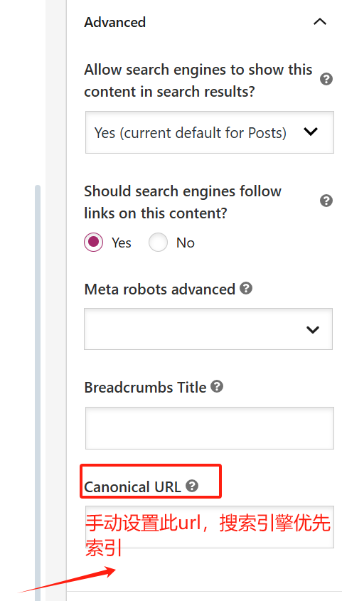 Imágenes [4] - Cómo configurar correctamente las URL canónicas en WordPress para optimizar el SEO y evitar el contenido duplicado
