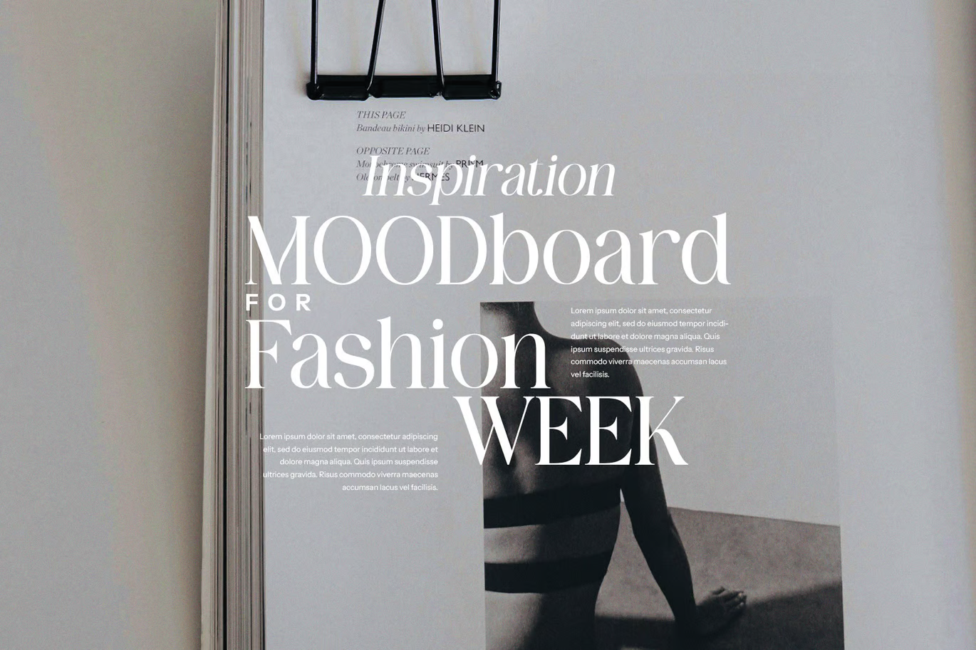 Image[2]-Elegant Serif Fonts - Photon Flux | Professional WordPress repair service, worldwide, fast response!