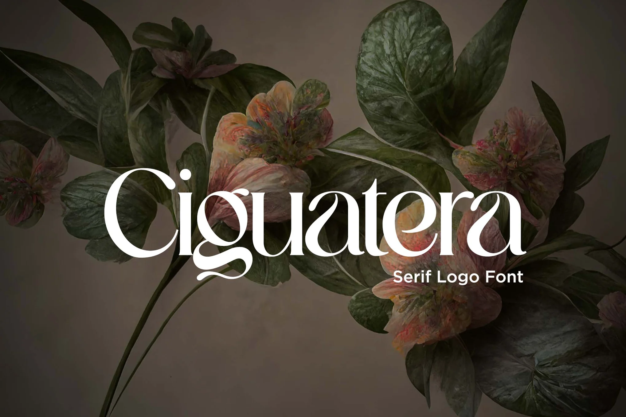 Ciguatera Serif Logo Font - 衬线标志字体-光子波动网 | 专业WordPress修复服务，全球范围，快速响应