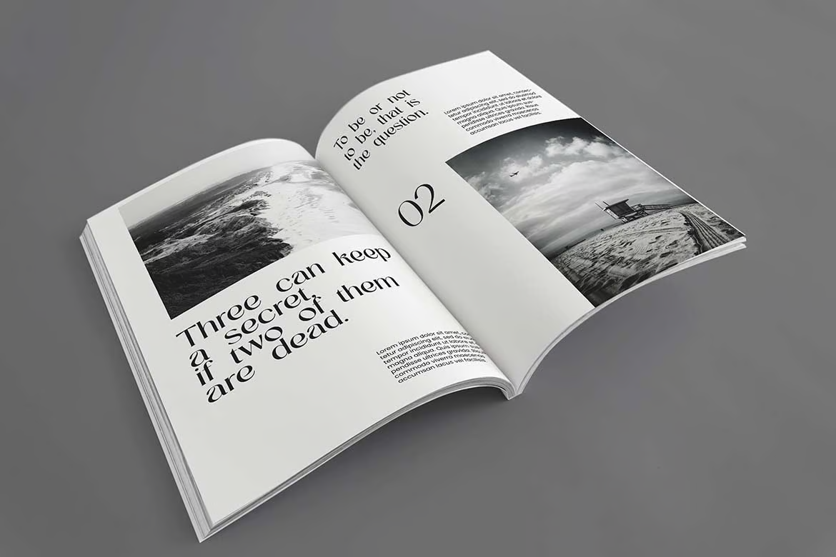 图片[2]-Ciguatera Serif Logo Font – 衬线标志字体-光子波动网 | 专业WordPress修复服务，全球范围，快速响应