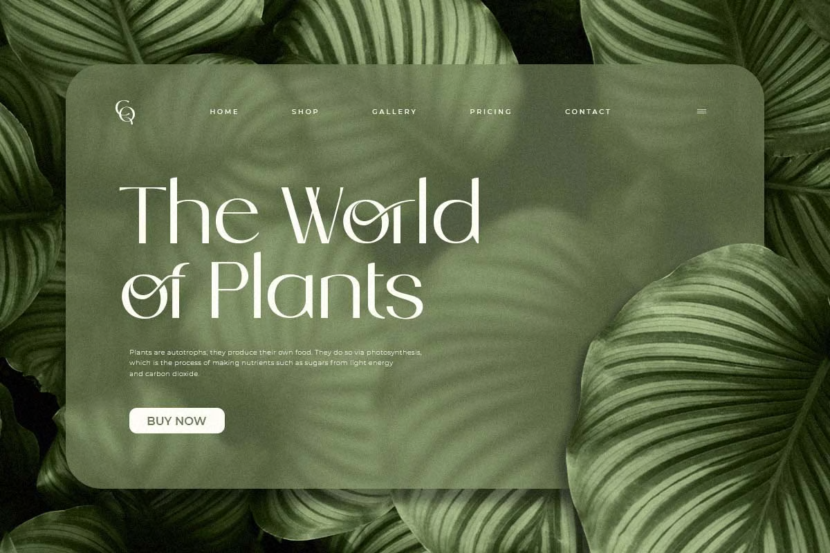 Image [2]-Golden - Luxury Modern Fonts - Photon Flux | Professional WordPress repair service, worldwide, fast response!