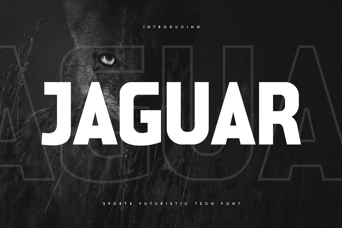 Jaguar - 体育未来科技字体-光子波动网 | 专业WordPress修复服务，全球范围，快速响应