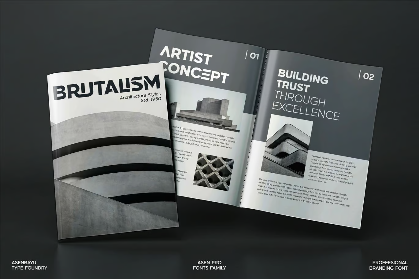 图片[2]-Asen Pro – 无衬线字体-光子波动网 | 专业WordPress修复服务，全球范围，快速响应