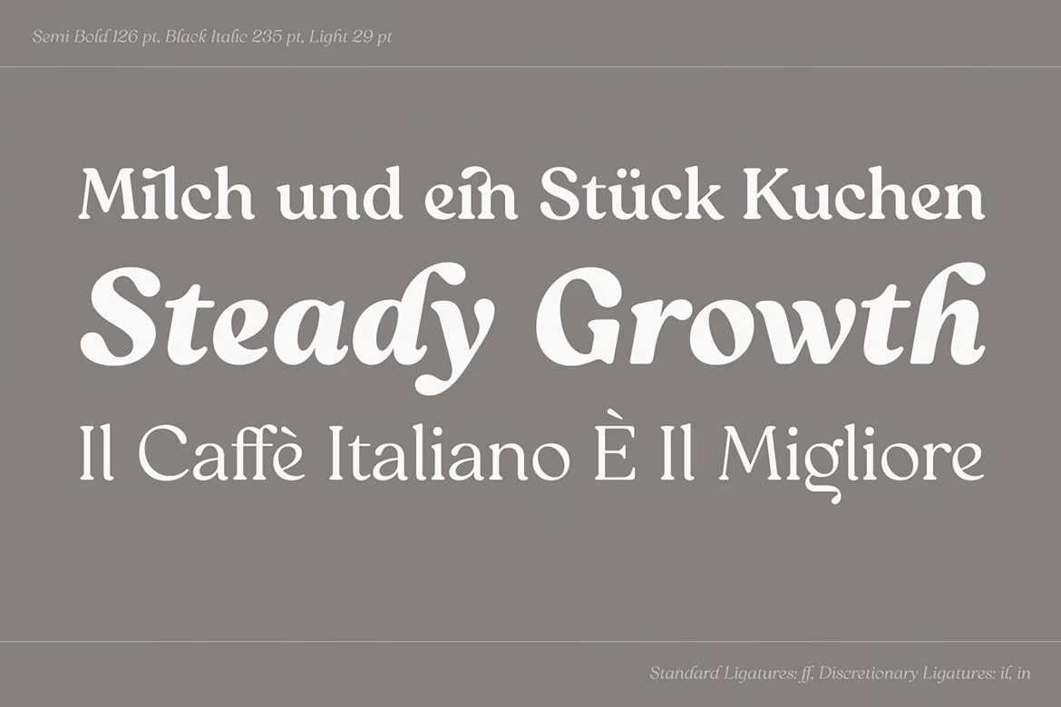 Image [2] - Reigo Font Family - Photon Flux | Service professionnel de réparation de WordPress, dans le monde entier, réponse rapide !