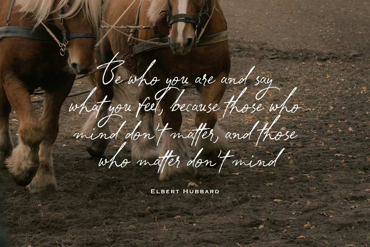 图片[2]-South Assign – 复古风格字体-光子波动网 | 专业WordPress修复服务，全球范围，快速响应