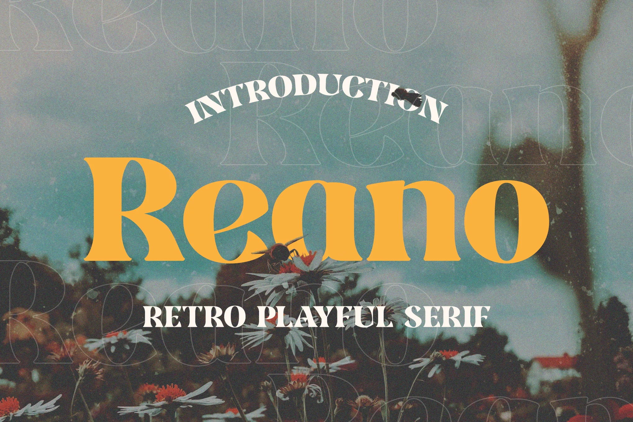 Reano - 复古粗体字体-光子波动网 | 专业WordPress修复服务，全球范围，快速响应