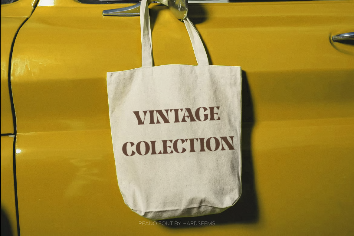 图片[2]-Reano – 复古粗体字体-光子波动网 | 专业WordPress修复服务，全球范围，快速响应