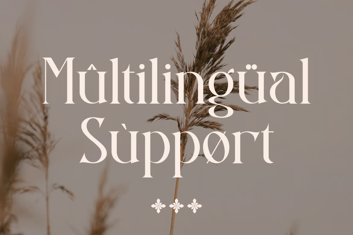 图片[2]-Savera 字体-光子波动网 | 专业WordPress修复服务，全球范围，快速响应