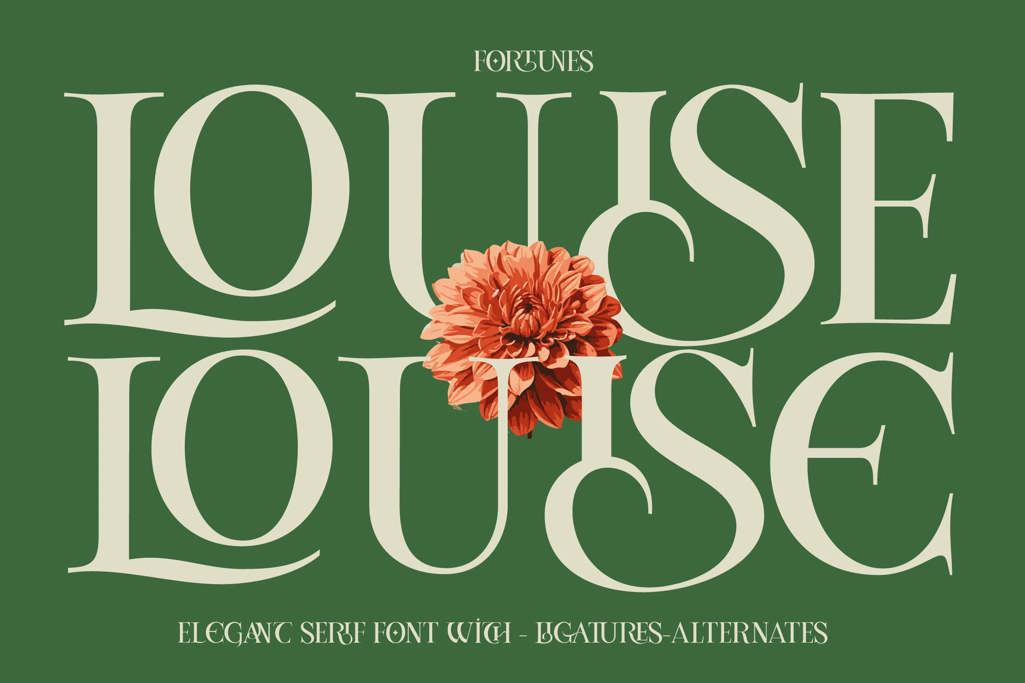 Louise - 优雅衬线字体-光子波动网 | 专业WordPress修复服务，全球范围，快速响应