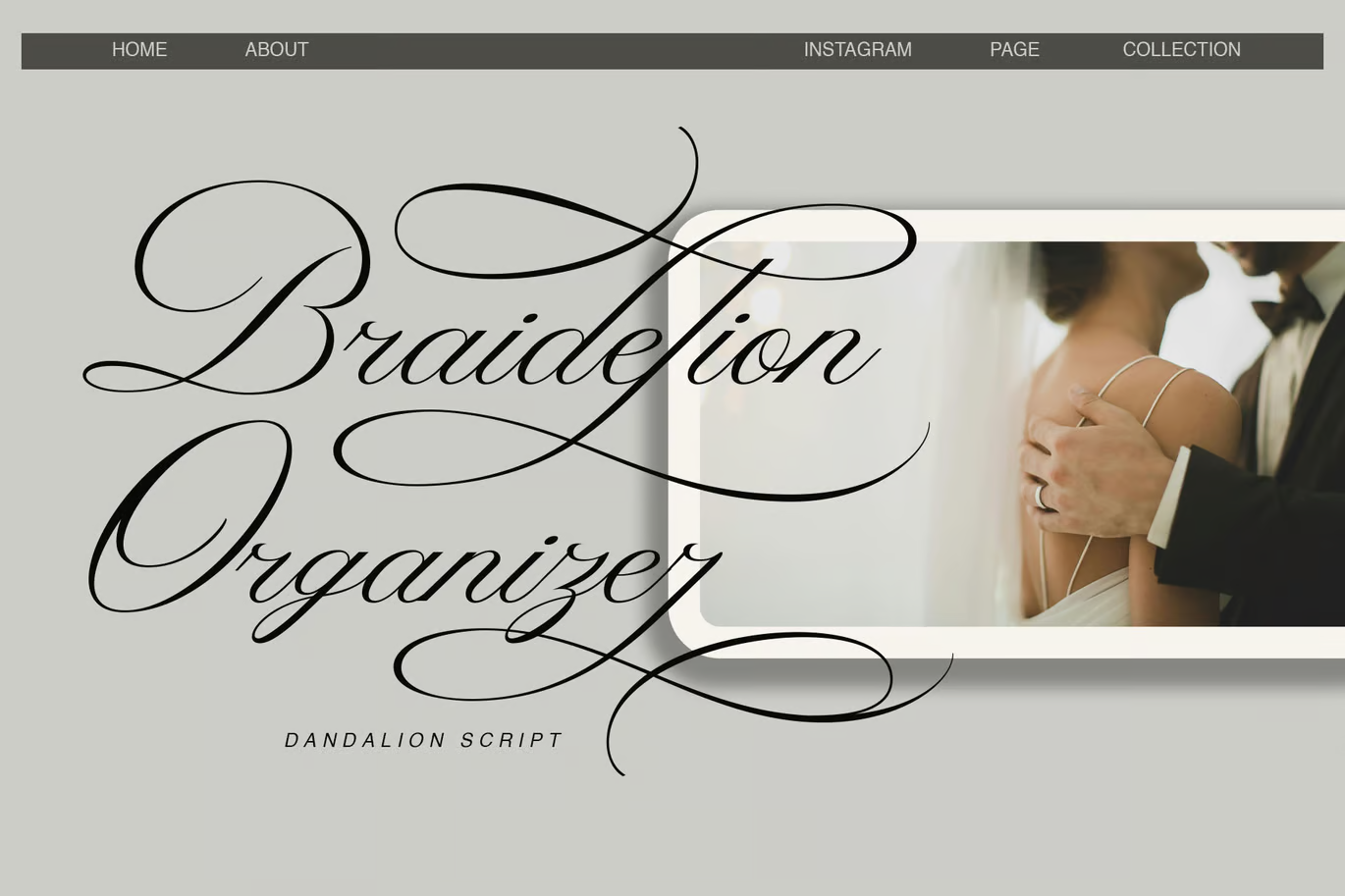 图片[2]-Dandellion 字体-光子波动网 | 专业WordPress修复服务，全球范围，快速响应