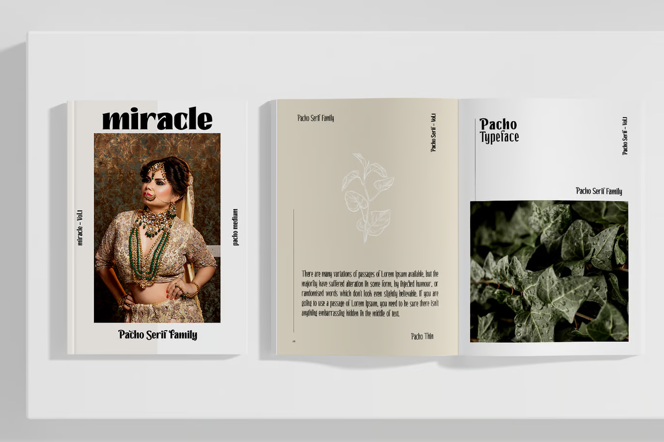 图片[2]-Pacho 字体-光子波动网 | 专业WordPress修复服务，全球范围，快速响应