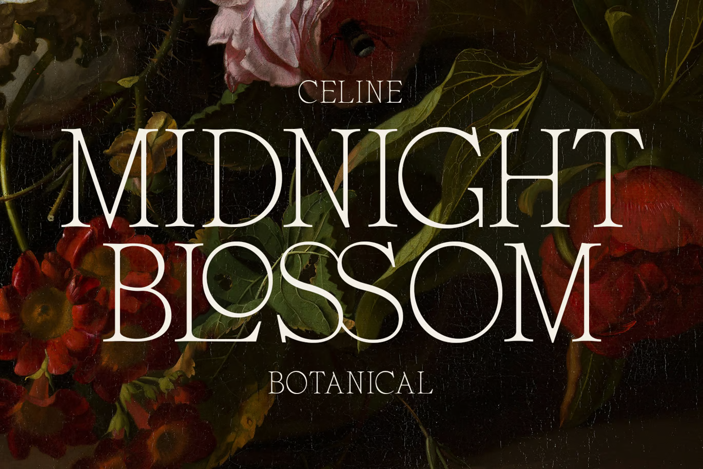 图片[2]-Elegane-字体-光子波动网 | 专业WordPress修复服务，全球范围，快速响应