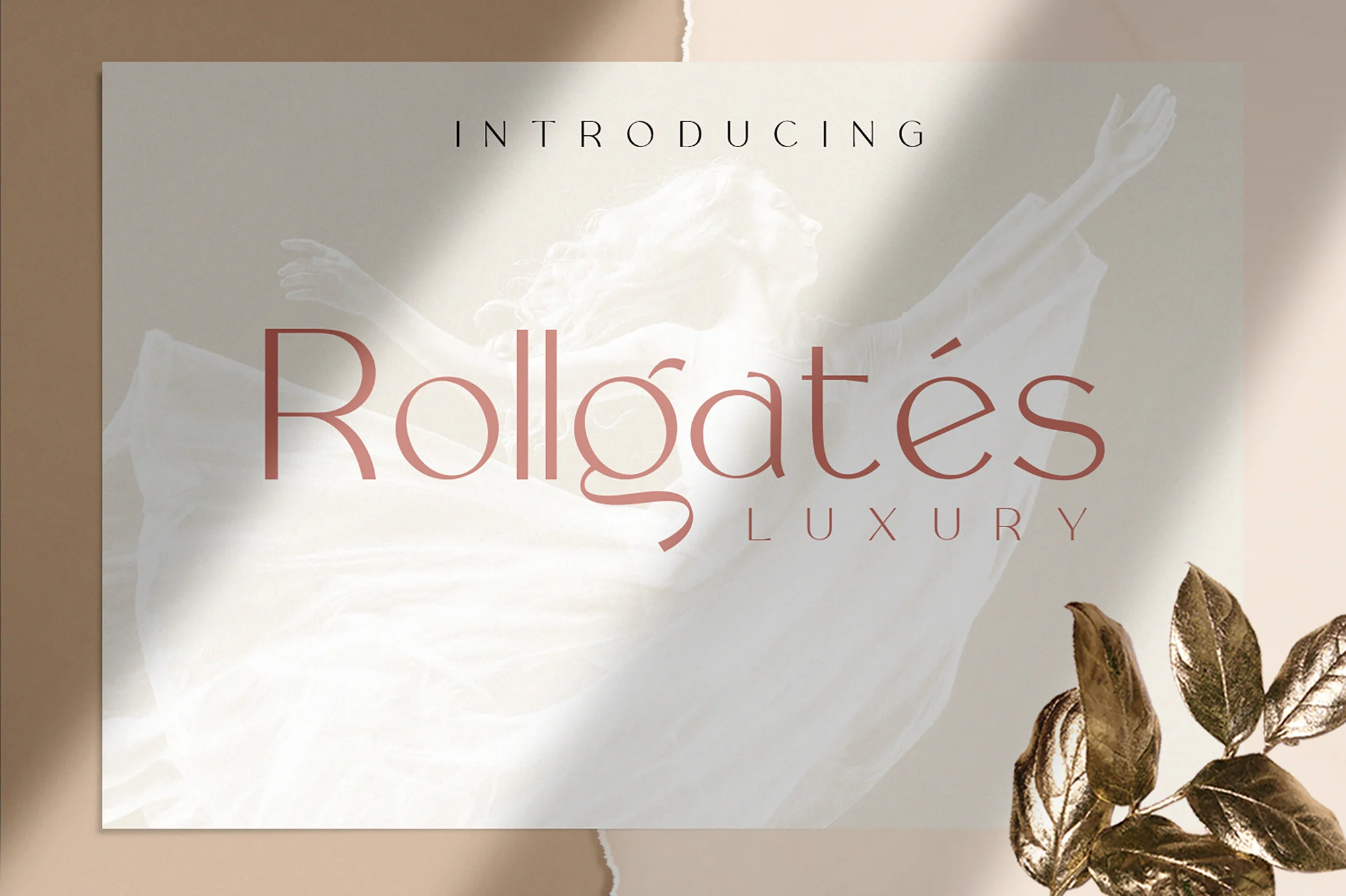 Rollgates Luxury 字体-光子波动网 | 专业WordPress修复服务,全球范围,快速响应