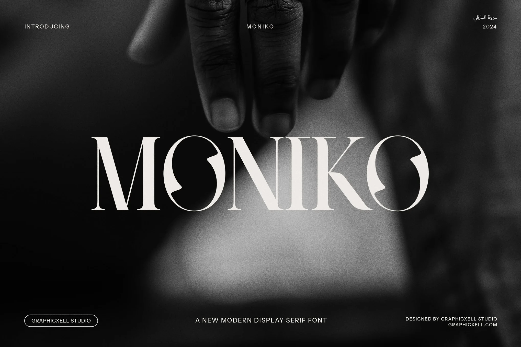 Moniko - 优雅衬线字体-光子波动网 | 专业WordPress修复服务,全球范围,快速响应