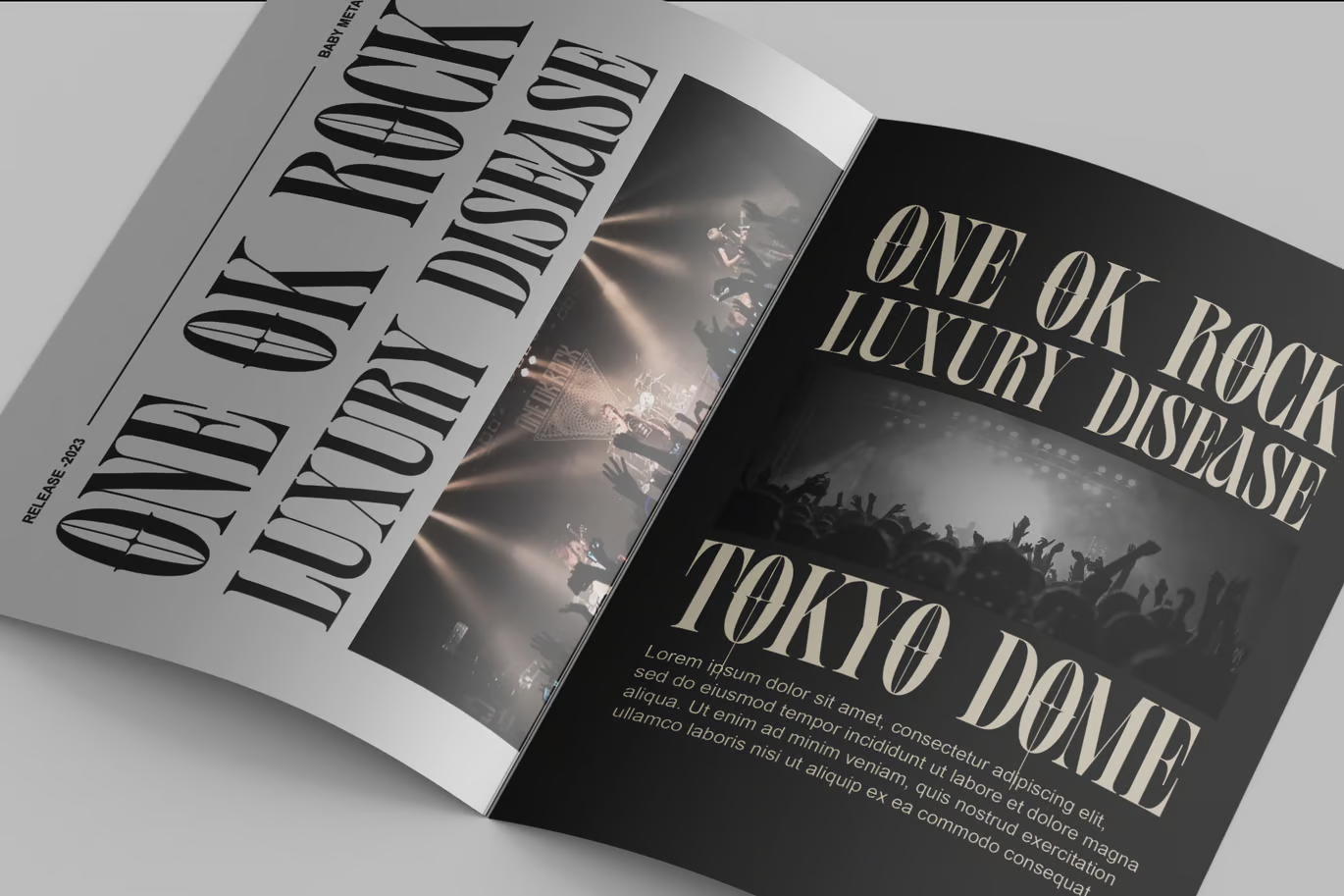 图片[2]-Avone 字体-光子波动网 | 专业WordPress修复服务，全球范围，快速响应