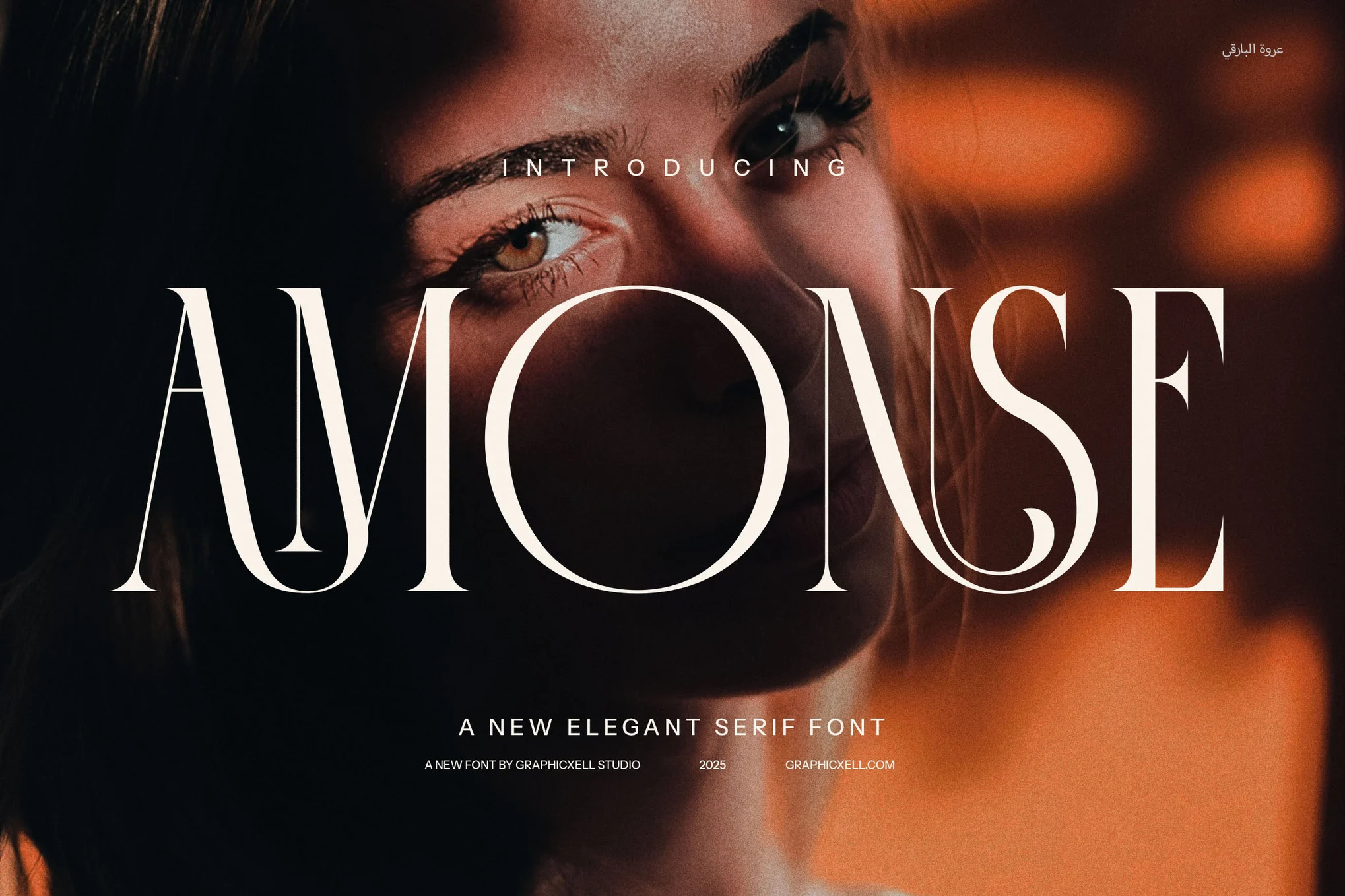 Amonse - 连字衬线字体-光子波动网 | 专业WordPress修复服务，全球范围，快速响应