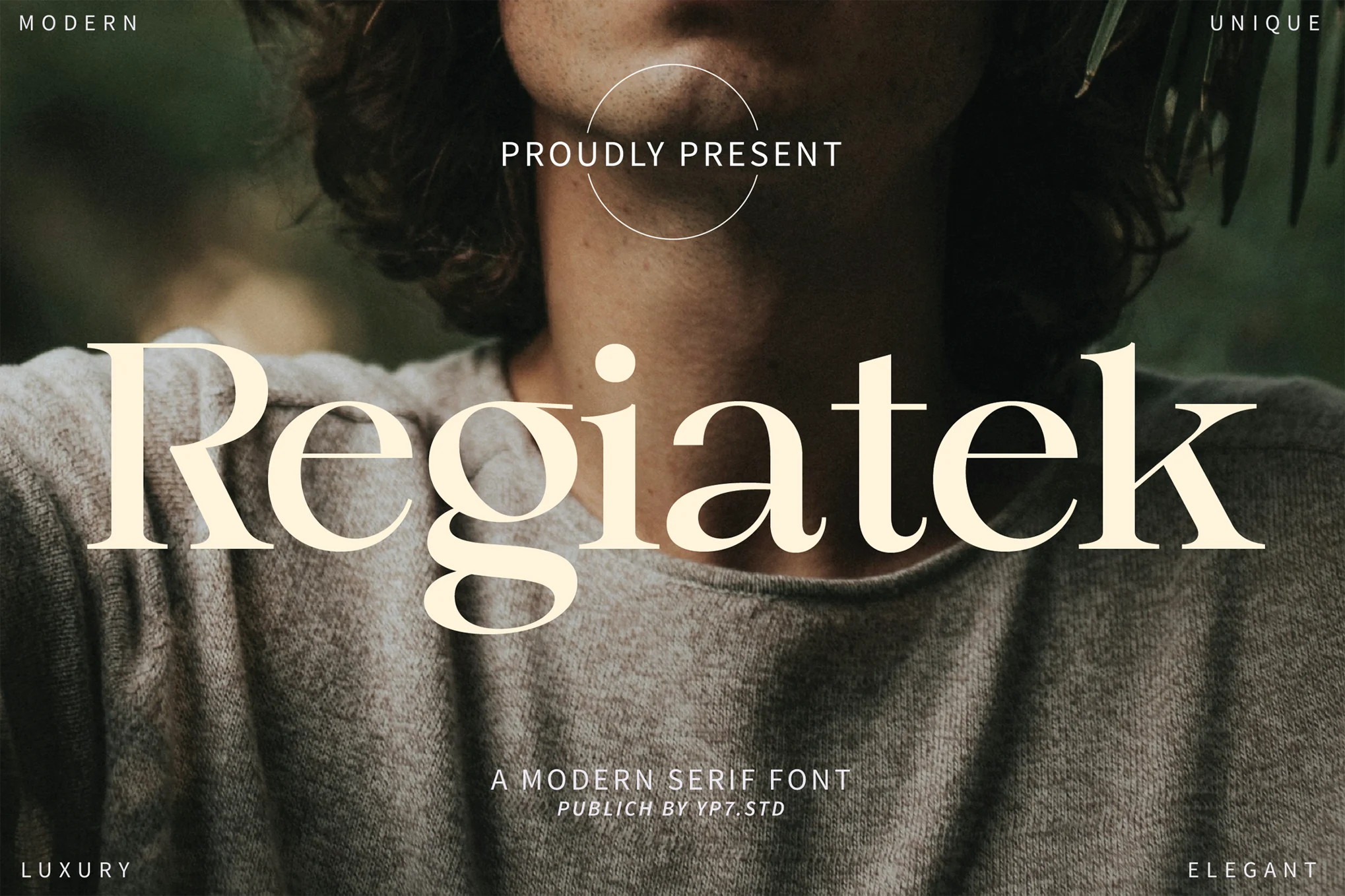 Elegant – 经典优雅字体-光子波动网 | 专业WordPress修复服务，全球范围，快速响应