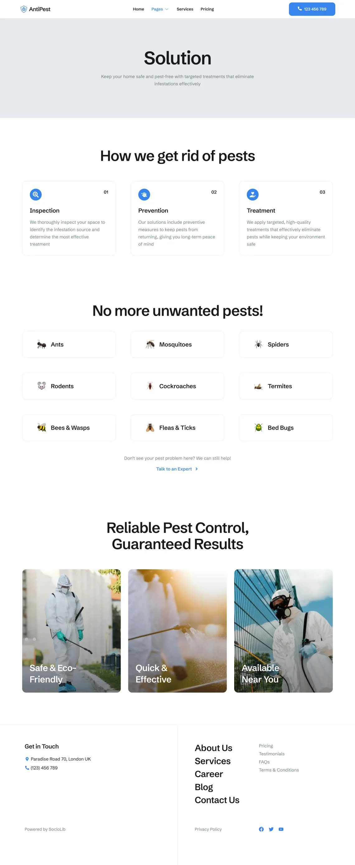 图片[1]-AntiPest – 害虫控制服务 Elementor 模板套件-光子波动网 | 专业WordPress修复服务，全球范围，快速响应