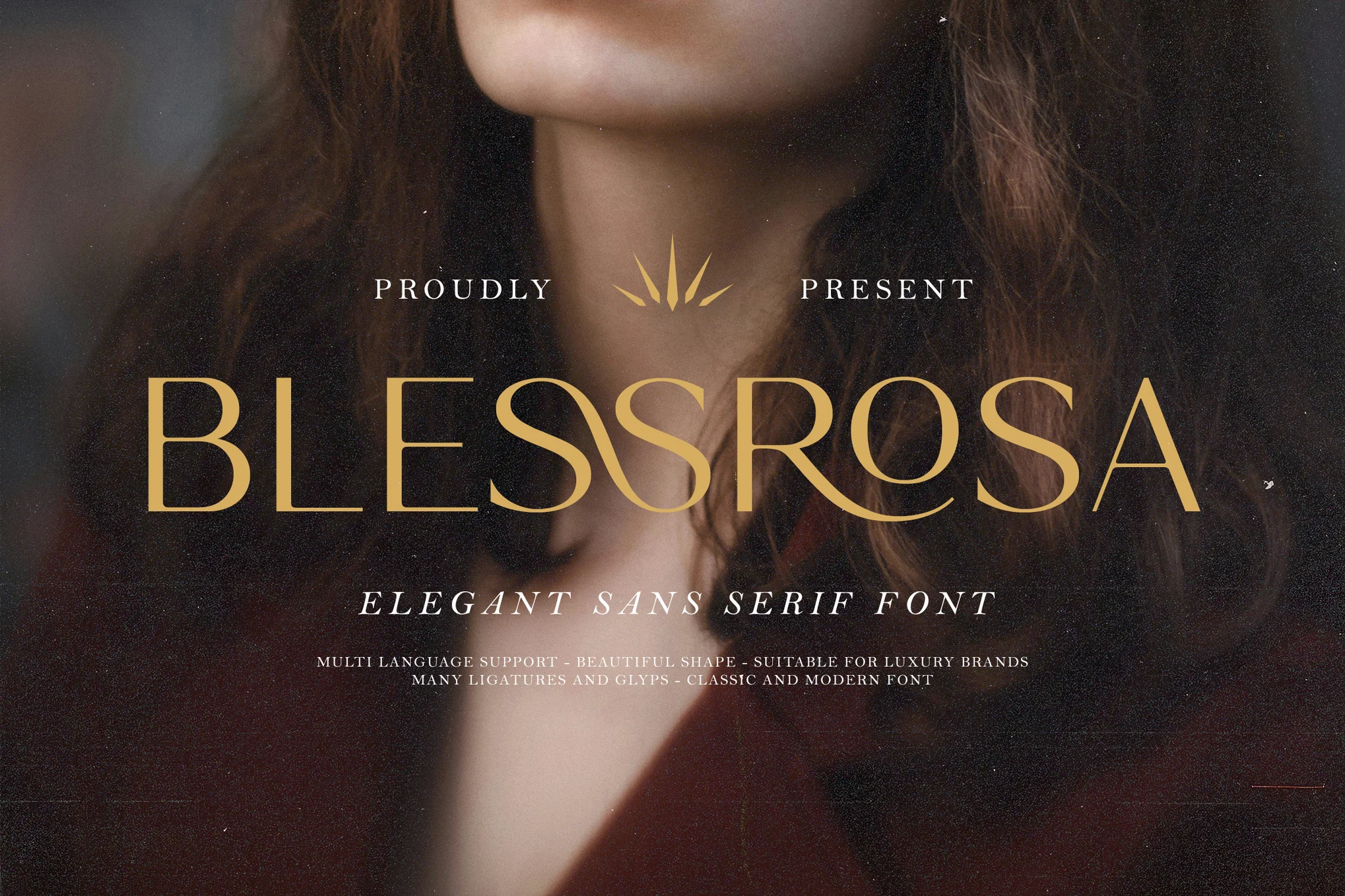 Blessrosa – 优雅奢华无衬线字体-光子波动网 | 专业WordPress修复服务，全球范围，快速响应