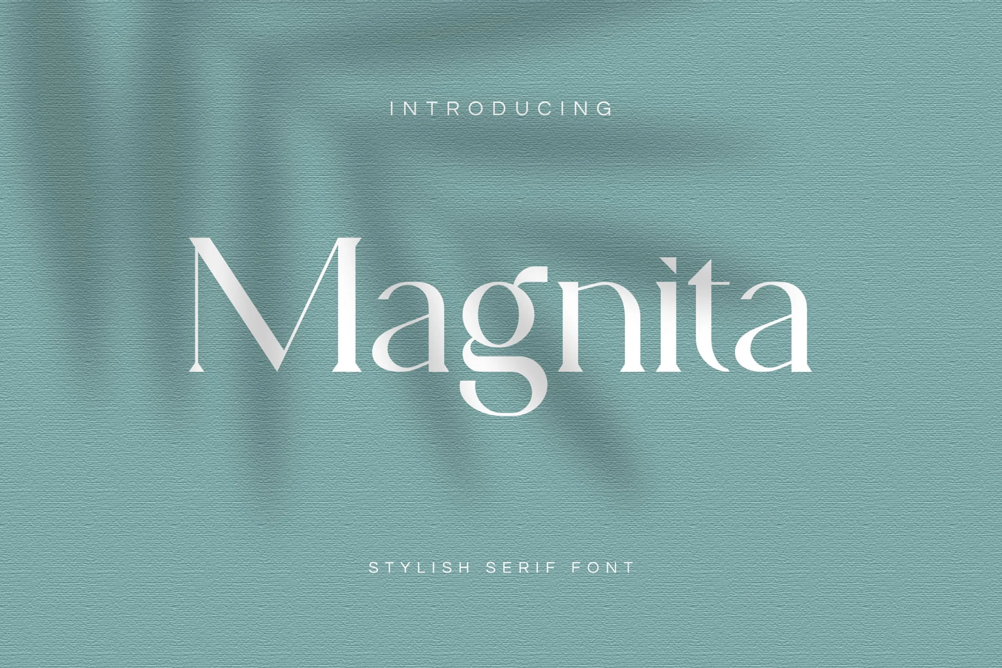Magnita – 衬线字体-光子波动网 | 专业WordPress修复服务，全球范围，快速响应