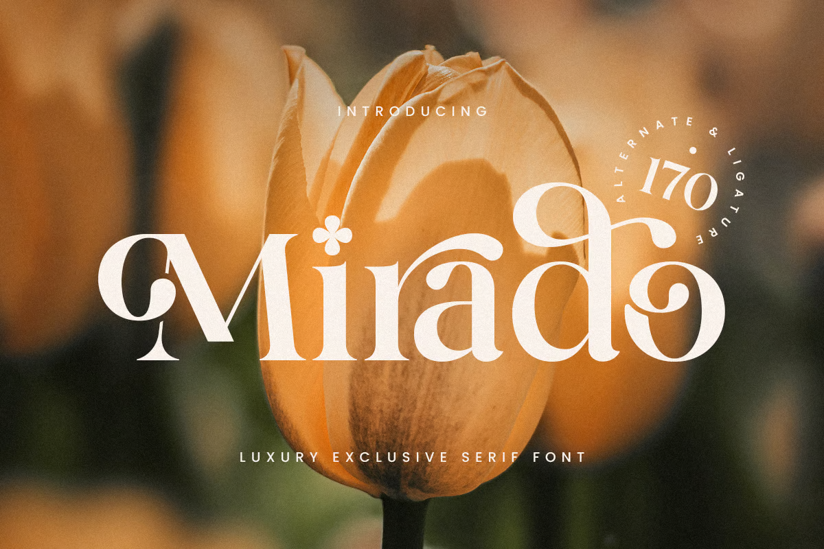 Mirado - High-End Luxury Serif Fonts - Photon Flux | Professional WordPress Repair Service, Global Reach, Fast Response