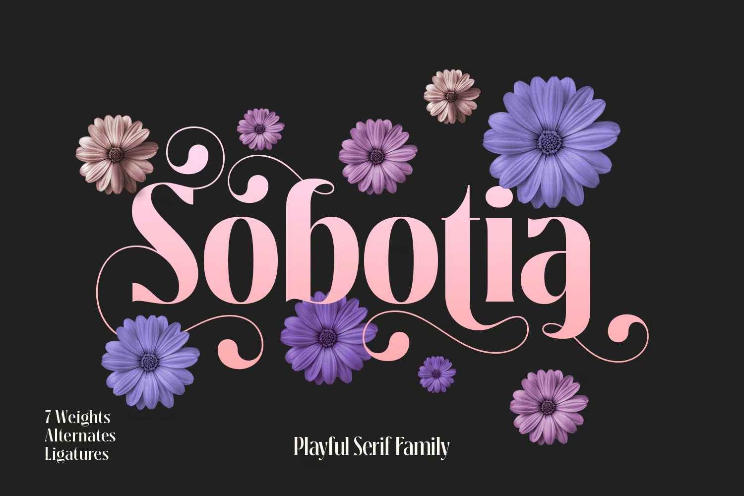 Sobotia - Sassy Serif Font Family - Photon Flux | Professional WordPress repair service, global reach, fast response