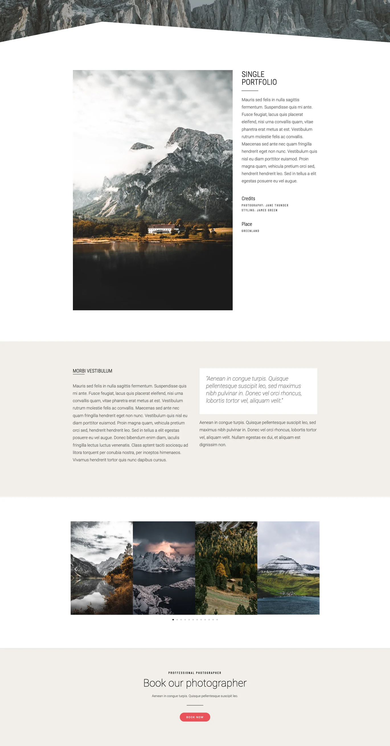 图片[3]-Purekit – 创意与商业 Elementor 模板套件-光子波动网 | 专业WordPress修复服务，全球范围，快速响应