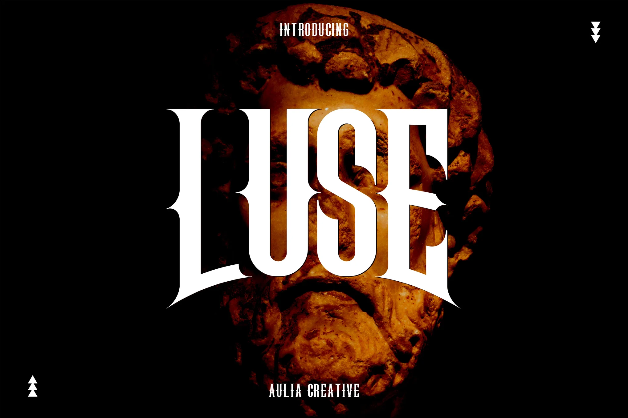 Luse – 复古展示字体-光子波动网 | 专业WordPress修复服务,全球范围,快速响应