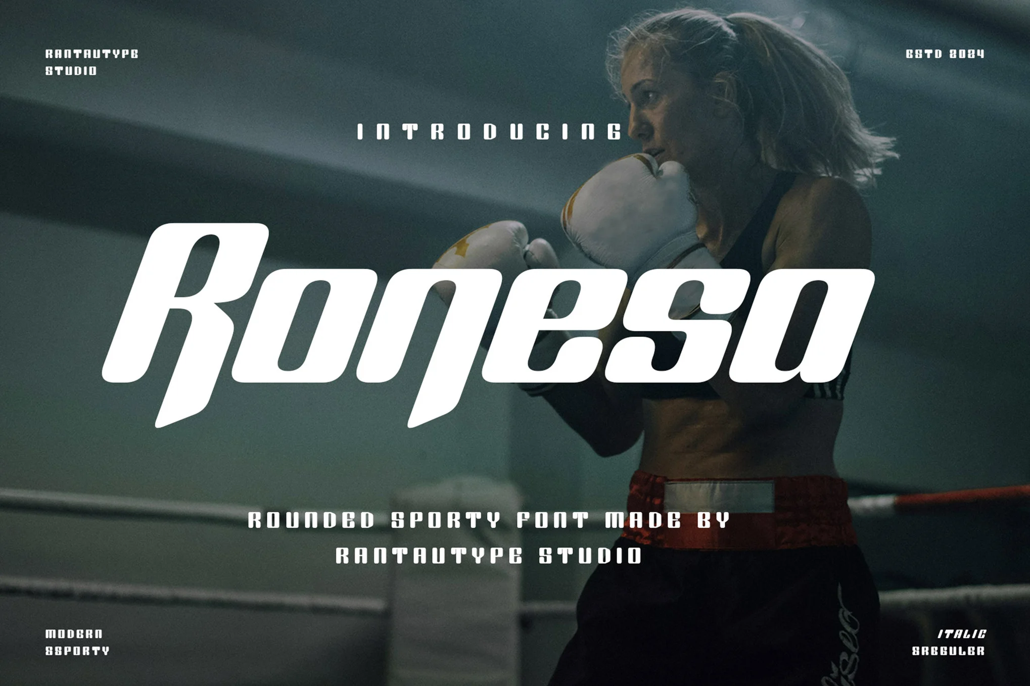 Ronesa Rounded - Sport Fonts - Photon Flux Network | Professional WordPress Repair Service, Global Reach, Fast Response