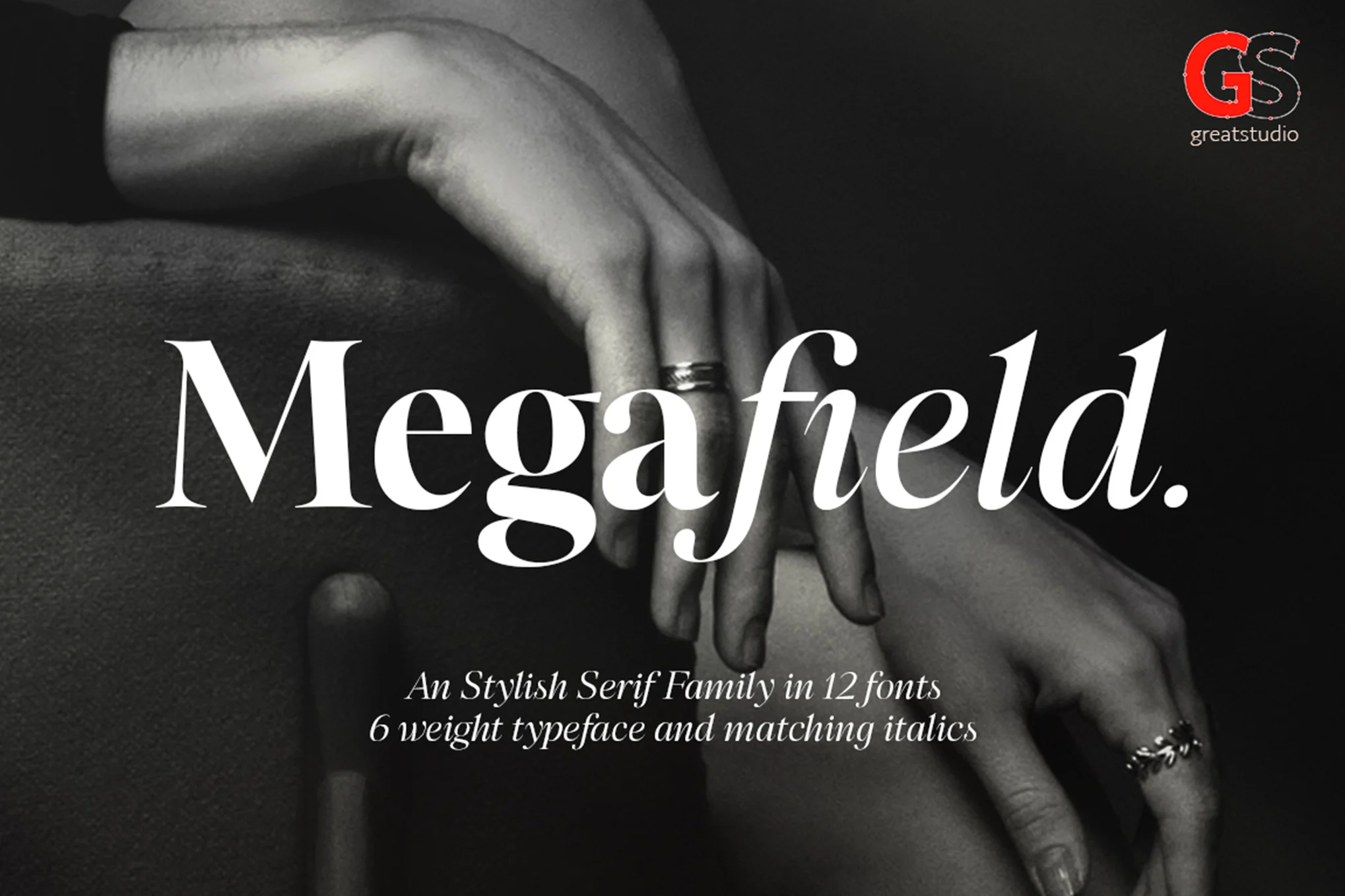 Megafield - Font Family - Photon Flux Network | Professional WordPress repair service, worldwide, fast response time