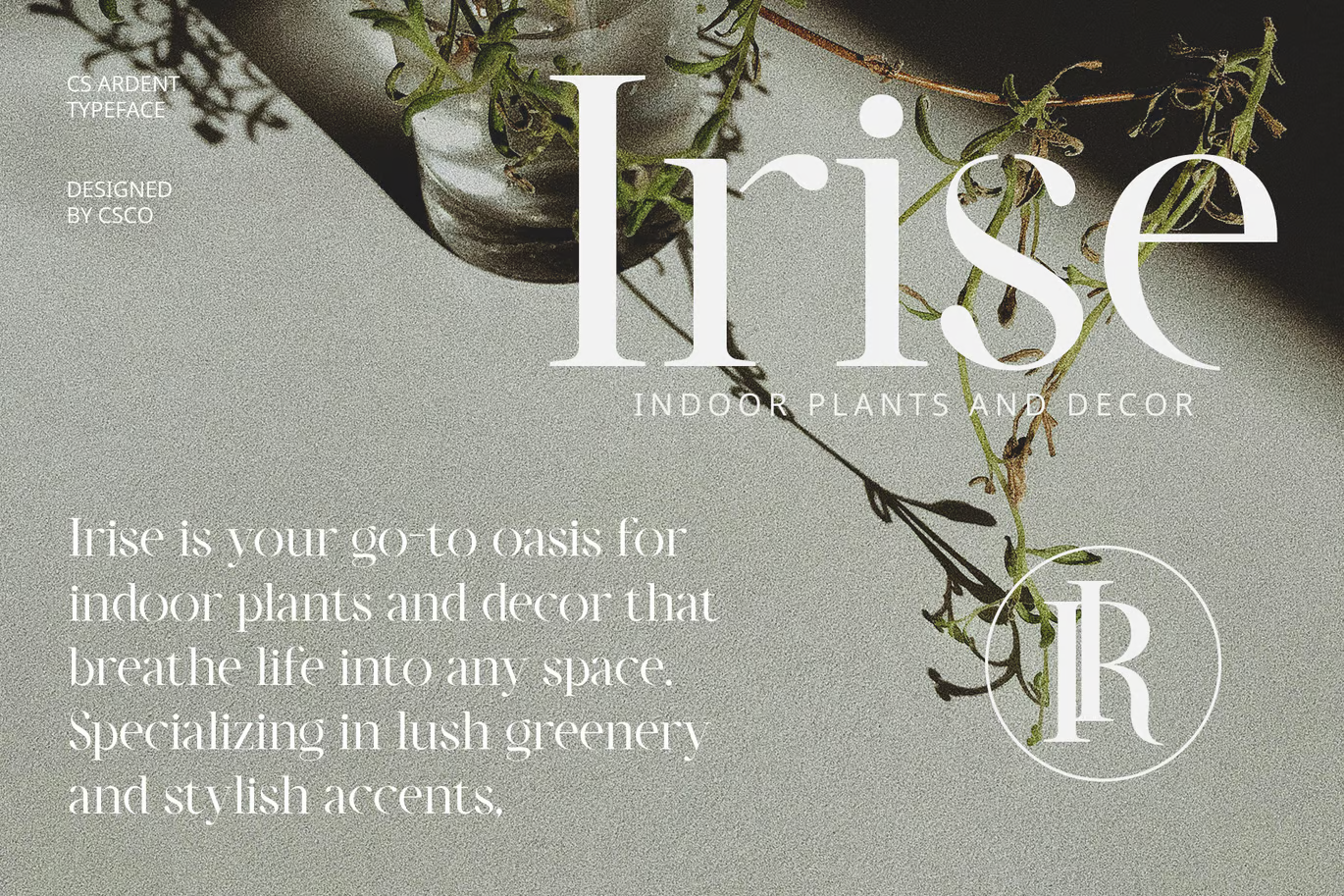 图片[3]-Ardent – 优雅字体-光子波动网 | 专业WordPress修复服务，全球范围，快速响应