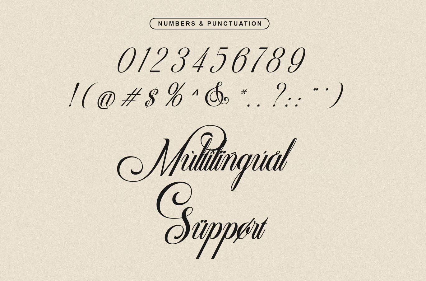 Image[2]-Velina-Font-Photonflux.com | Servicio profesional de reparación de WordPress, cobertura mundial, respuesta rápida