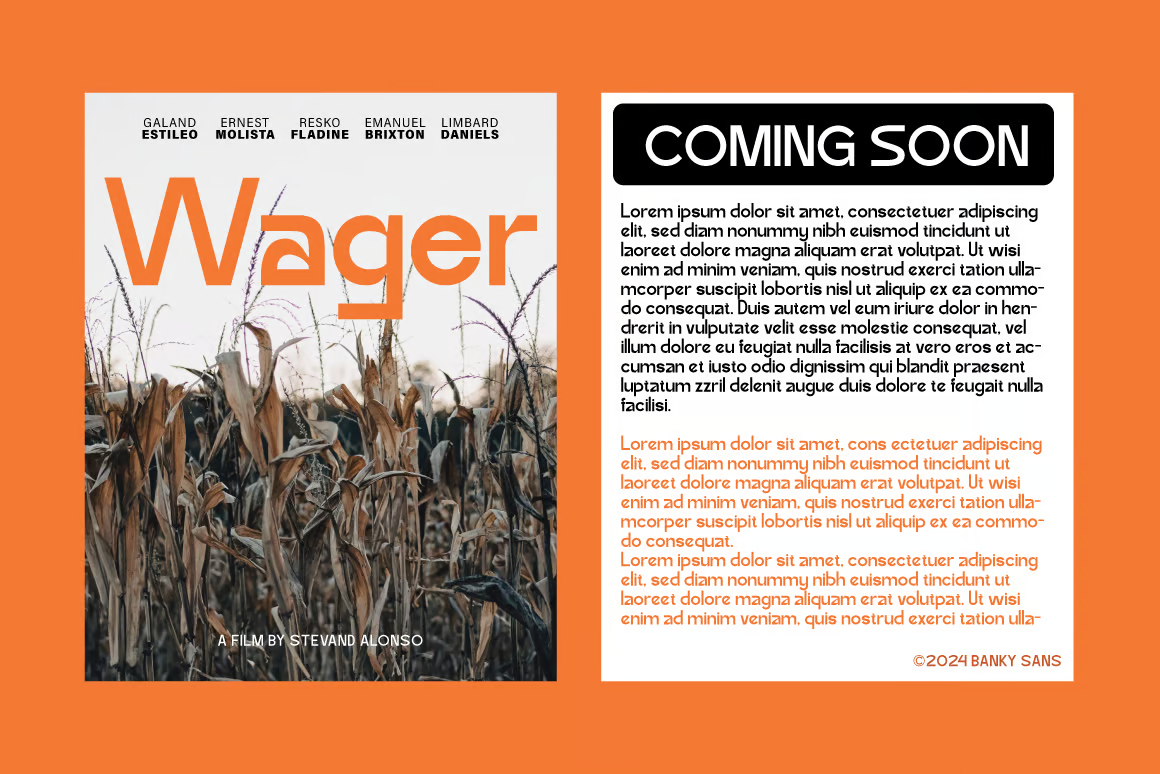 图片[2]-Banky – 现代人文主义无衬线字体-光子波动网 | 专业WordPress修复服务，全球范围，快速响应