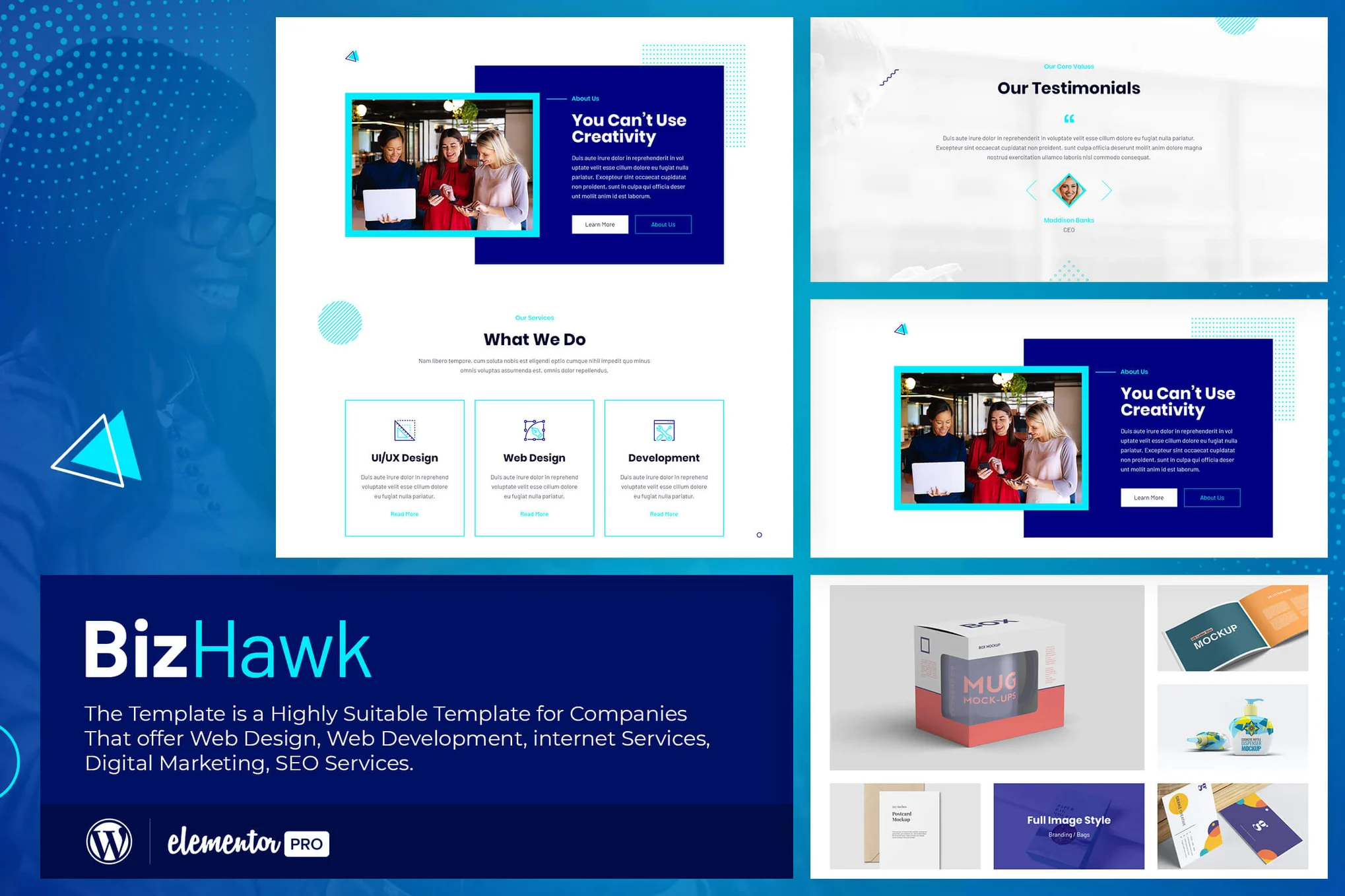 Image [1] - BizHawk - Enterprise Agency Elementor Template Suite - Photon Flux Network | Professional WordPress Repair Service, Global Reach, Fast Response