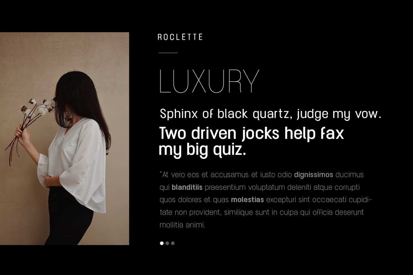 Image[2]-Roclette Pro Display Fonts - Photon Flux | Service professionnel de réparation de WordPress, dans le monde entier, réponse rapide !