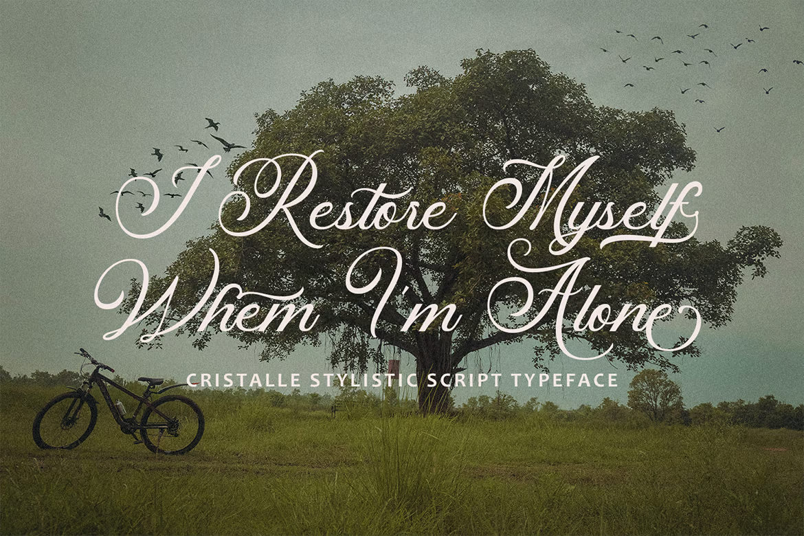 图片[2]-Cristalle – 手写字体-光子波动网 | 专业WordPress修复服务，全球范围，快速响应