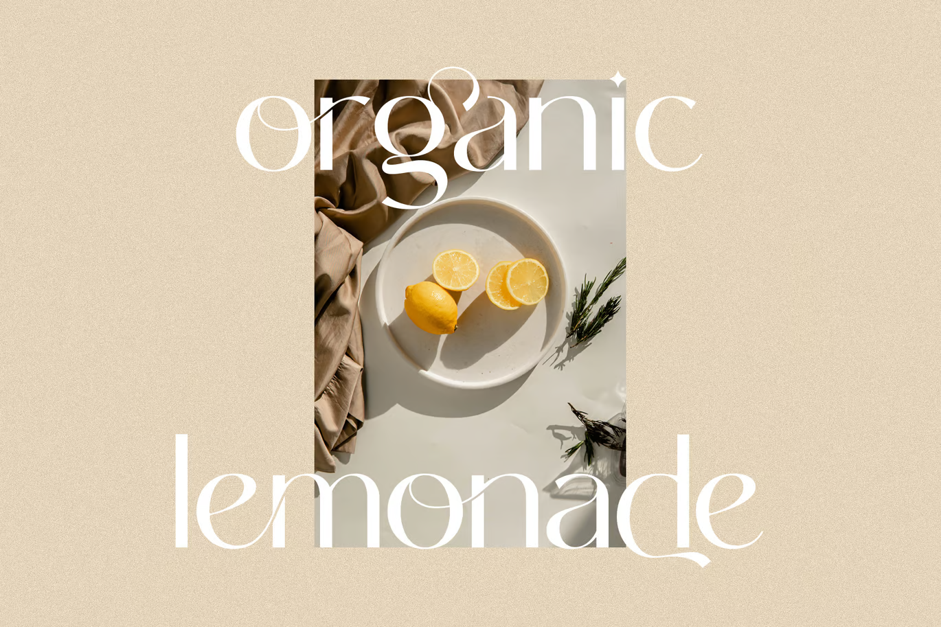 图片[2]-Modern Elegant 字体-光子波动网 | 专业WordPress修复服务，全球范围，快速响应