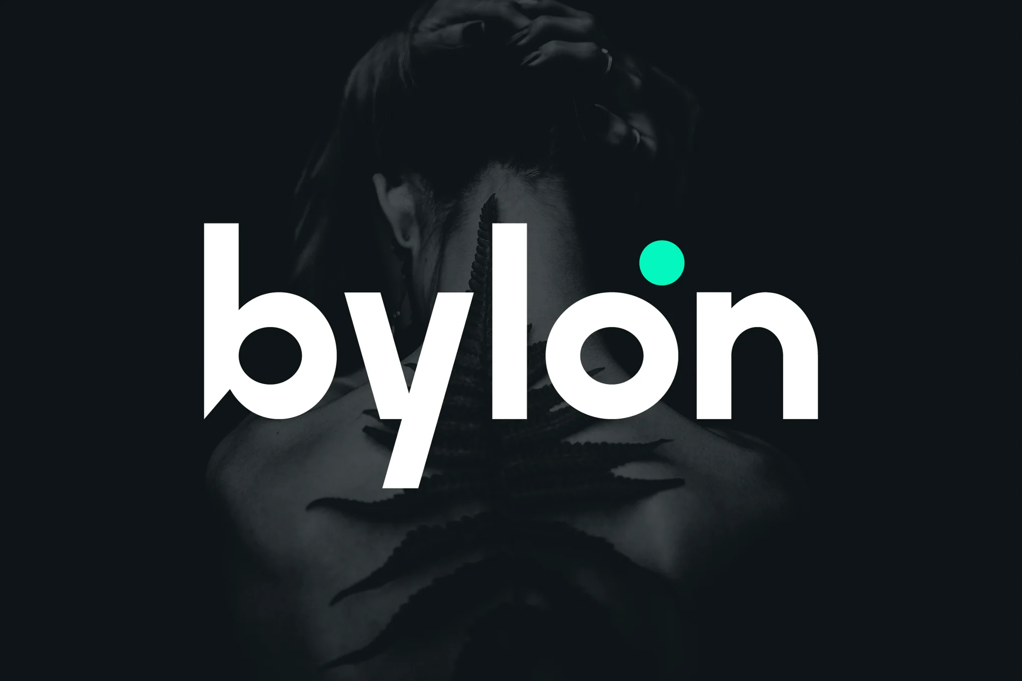 Bylon Sans Logo 字体-光子波动网 | 专业WordPress修复服务,全球范围,快速响应