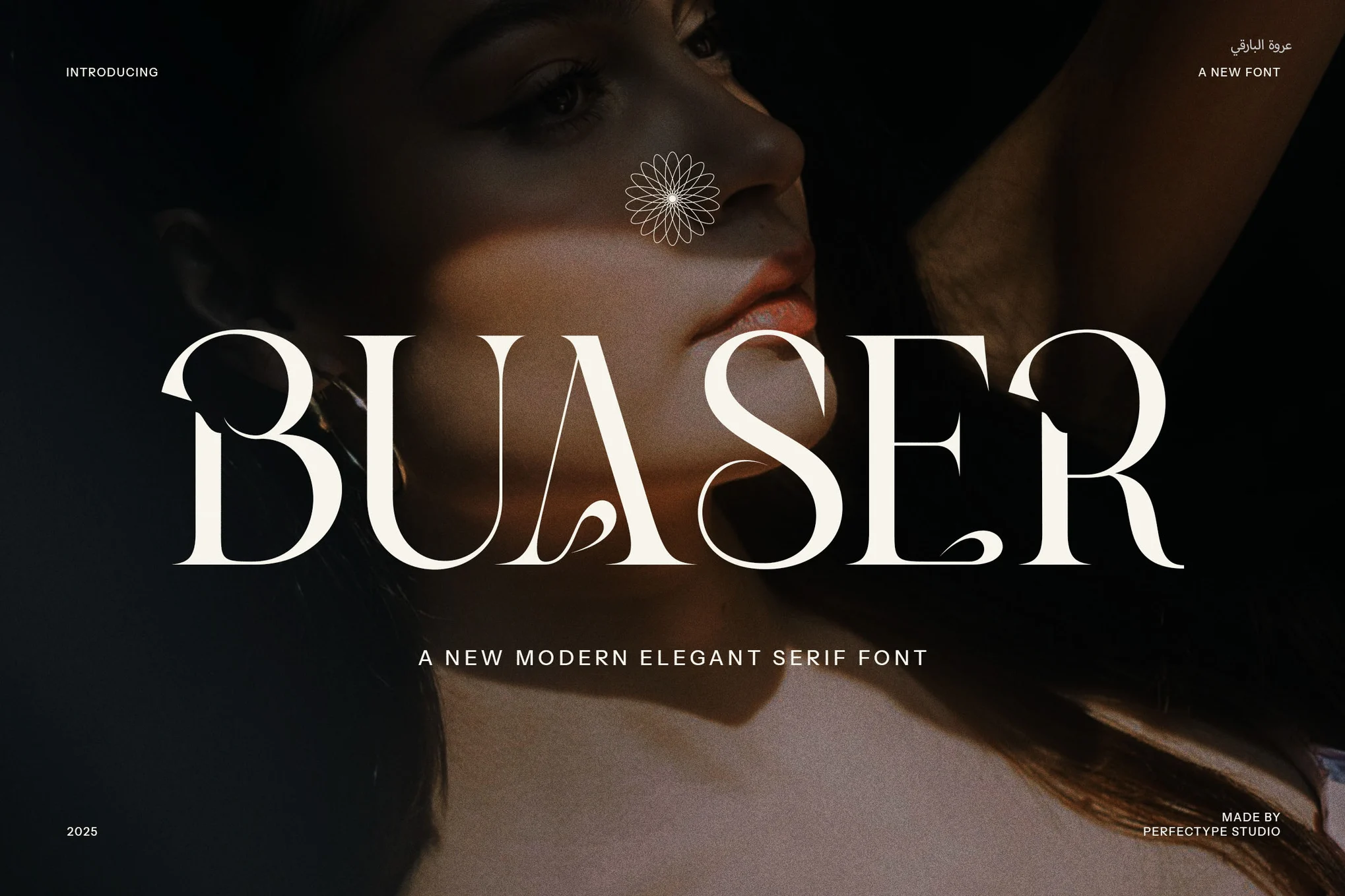 Buaser Stylish Serif Fonts - Photon Flux | Servicio profesional de reparación de WordPress, en todo el mundo, ¡rápida respuesta!