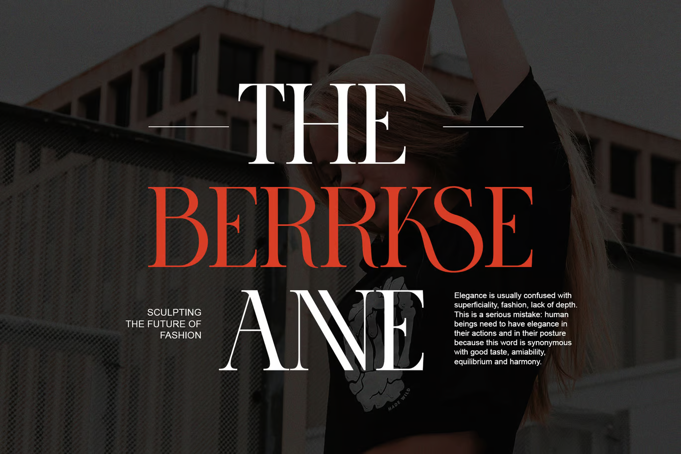 图片[2]-RAVORS Elegant Ligature Serif 字体-光子波动网 | 专业WordPress修复服务，全球范围，快速响应