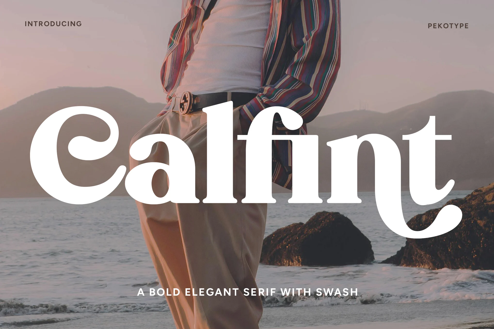 Calfint - 粗体衬线字体-光子波动网 | 专业WordPress修复服务,全球范围,快速响应